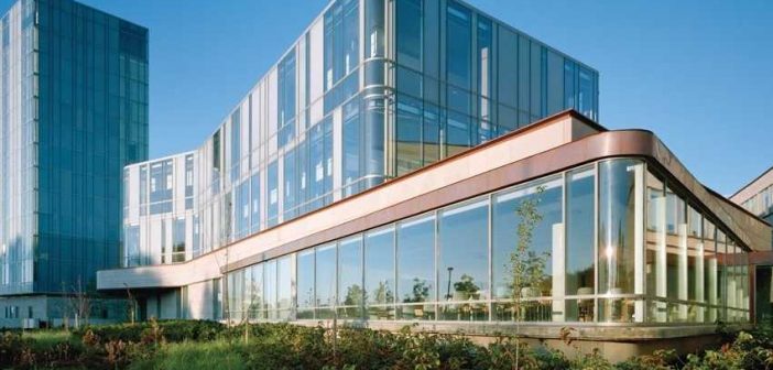 schulich-tops-better-world-mba-rankings-for-4th-consecutive-year-business-school-us-canada-greenest-mba-program-corporate-knights-survey