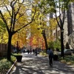 Yale Tops Economist Executive MBA Ranking 2018